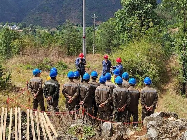 SOLAR STREET LIGHT TRAP