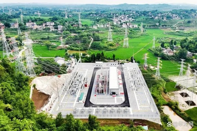 SOLAR STREET LIGHT TRAP