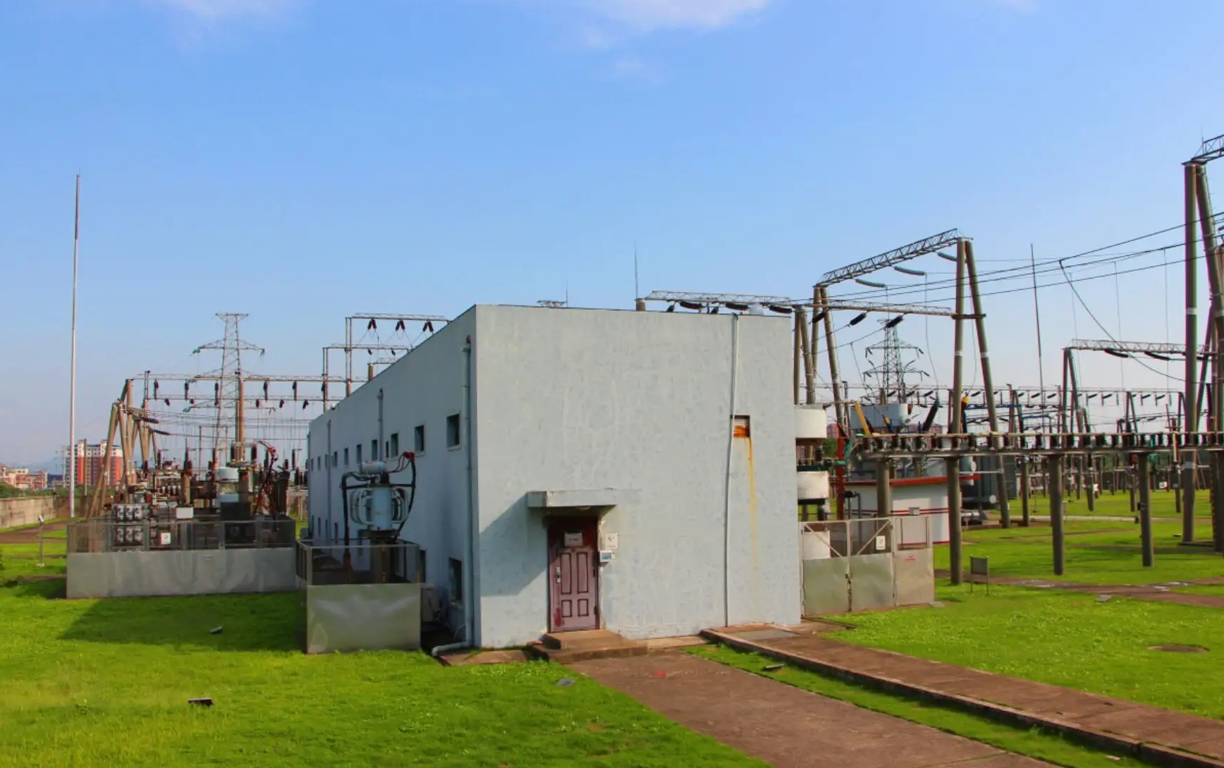 SOLAR STREET LIGHT TRAP